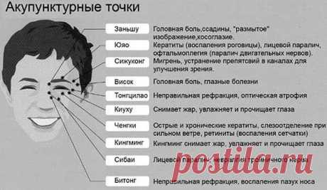 Айболит