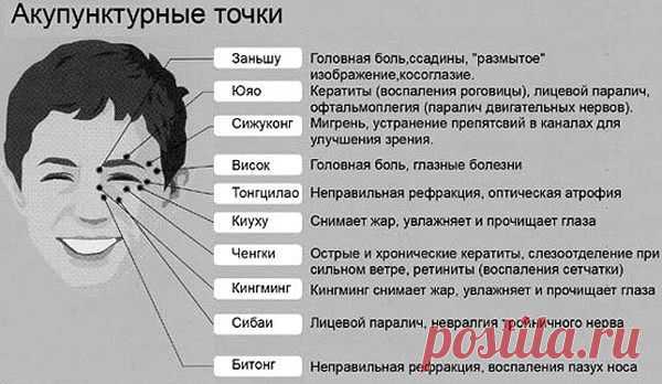 Айболит