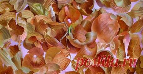 Польза от луковой шелухи