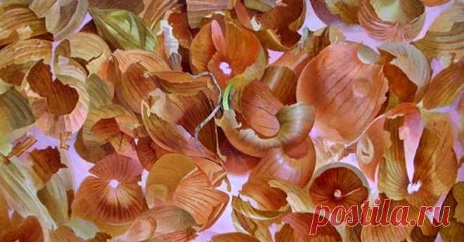 Польза от луковой шелухи