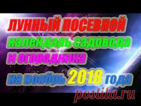 Лунный посевной календарь садовода и огородника на ноябрь 2018 года