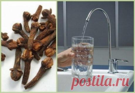 Как стабилизировать давление
От “скачков”, перепадов высокого давления поможет избавиться такое народное средство.
Возьмите:
- 40 палочек гвоздики
- 4 стакана воды
Палочки гвоздики положите в эмалированную кастрюлю, залейте водой, доведите до кипения и кипятите на слабом огне до тех пор, пока не останется половина жидкости, т. е. 2 стакана. Затем перелейте в стеклянную бутылку. Это отвар из гвоздики пейте по 1 ч. л. 3 раза в день за 30 мин. до еды.
Кроме того, необходимо укреплять здоровье п