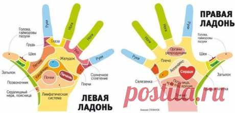 НАШИ ПАЛЬЦЫ МОГУТ ЛЕЧИТЬ НАШЕ ТЕЛО. (ШИАЦУ)
  
Гибкость и подвижность пальцев свидетельствует о состоянии внутренних органов.
Причём каждый палец отвечает за определенные органы.
В японской лечебной системе шиацу большое значение придается массажу пальцев.
Видный эксперт шиацу Н. Текухиро считает, что эластичные и сильные пальцы благотворно сказываются на всем организме.
Чем более тонкую работу выполняют они, тем активнее протекают мыслительные процессы в голове.
Вот такая...