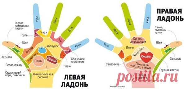 НАШИ ПАЛЬЦЫ МОГУТ ЛЕЧИТЬ НАШЕ ТЕЛО. (ШИАЦУ)
  
Гибкость и подвижность пальцев свидетельствует о состоянии внутренних органов.
Причём каждый палец отвечает за определенные органы.
В японской лечебной системе шиацу большое значение придается массажу пальцев.
Видный эксперт шиацу Н. Текухиро считает, что эластичные и сильные пальцы благотворно сказываются на всем организме.
Чем более тонкую работу выполняют они, тем активнее протекают мыслительные процессы в голове.
Вот такая...
