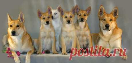(288 unread) - rossmary@rocketmail.com - Yahoo Mail