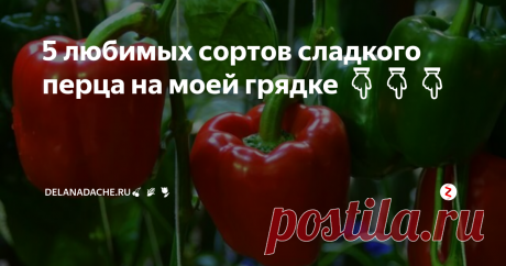 5 любимых сортов сладкого перца на моей грядке 👇👇👇 Сладкий перец - любимый овощ на столе. Летом вся семья с удовольствием ест его свежим в салатах, на зиму закатываем много банок заготовок. В нашем северном климате обычный перец не успевает нормально отплодоносить и вызреть, поэтому я высаживаю на огороде только ранние сорта. По результатам последних нескольких лет хорошо показали себя такие.
Лумина
Сорт Лумина привлекает своей неприхотливостью. О