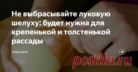 Не выбрасывайте луковую шелуху: будет нужна для крепенькой и толстенькой рассады Луковая шелуха для вашей рассады: как приготовить полезный питательный раствор