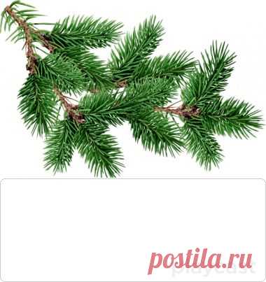 Плейкаст «"Кабы не было зимы"»