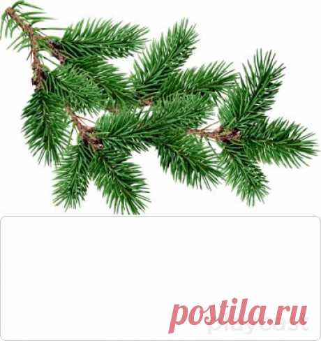 Плейкаст «&quot;Кабы не было зимы&quot;»