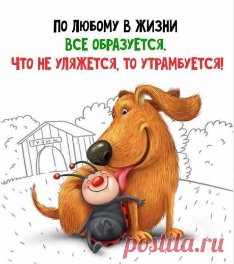 В жизни все образуется (Открытка 987): Бесплатные картинки &amp;#8226; Otkrytki.Top