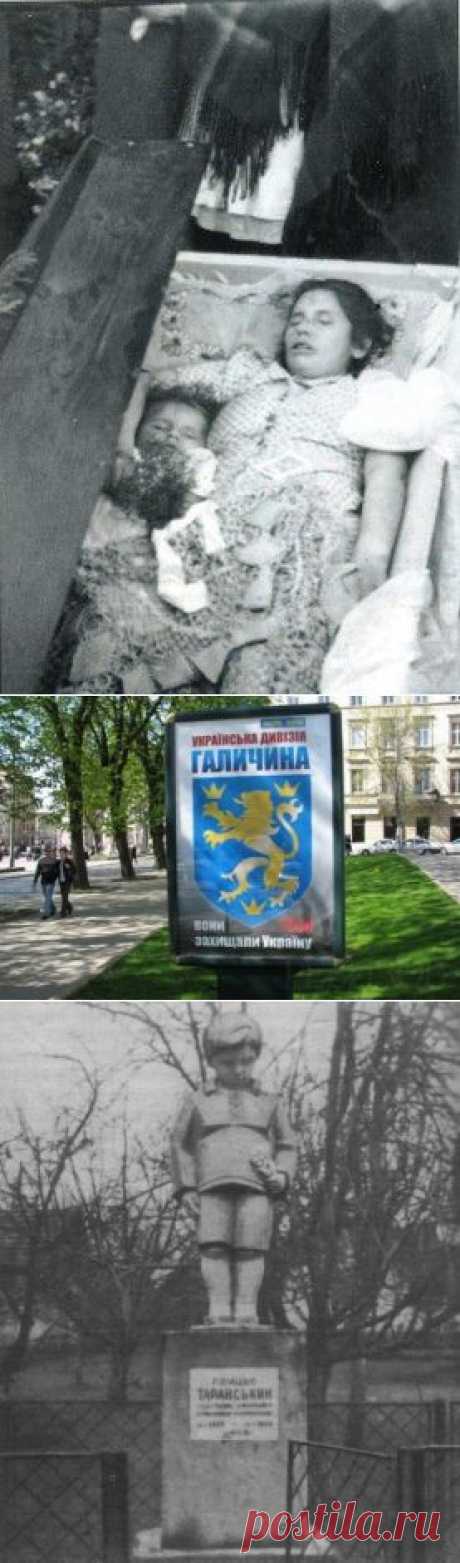 patalogostilist: Тем хохлам кому память отшибло...?!бандеровцы-это преступники.