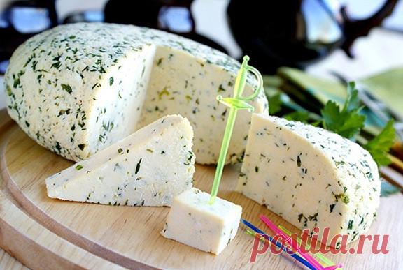 Адыгейский сыр в мультиварке