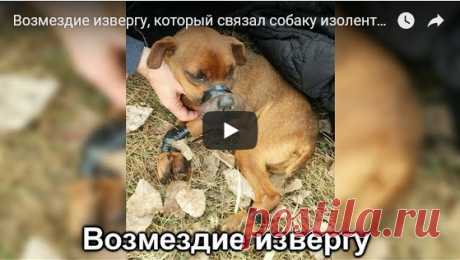 Шуточные документы и награды