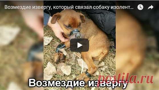 Шуточные документы и награды