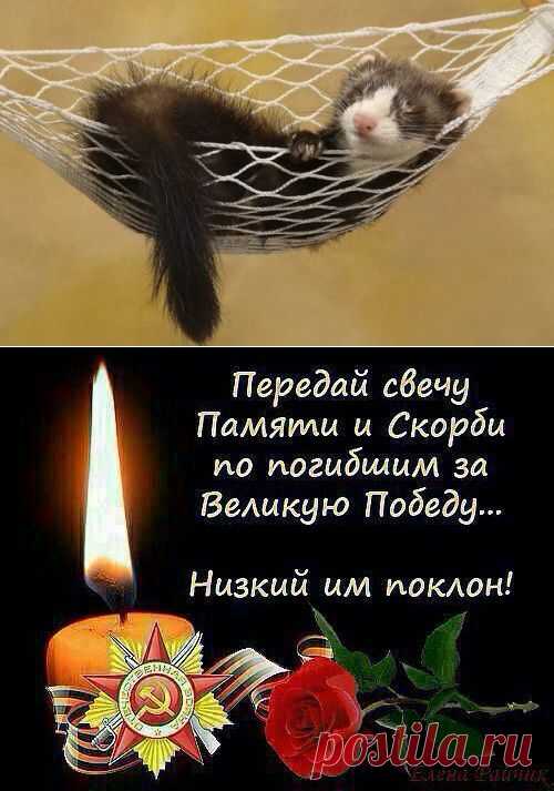 Диалоги