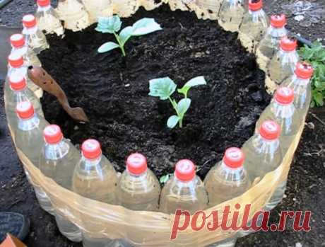 Мини грядка из пластиковых бутылок для огурцов. Сборно-разборный вариант теплой грядки и альтернатива посадкам в шины | Огородная фанатка | Яндекс Дзен