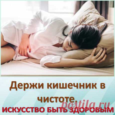 Держи кишечник в чистоте.
Человек - это неотъемлемая часть природы. Неразрывными нитями мы связаны с окружающим нас миром. Это и воздух, которым мы дышим, это и вода, что мы пьем, это и пища, которую мы едим. Каждая клетка нашего организма чутко реагирует на любые внешние изменения и, подобно крохотному зеркалу, точно отражает состояние окружающей среды. Что же нам говорит это зеркало? Если клетки полны сил и отлично справляются со своей работой, это значит, что человек не просто здоров