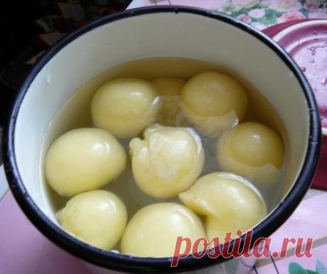 Моцарелла в домашних условиях