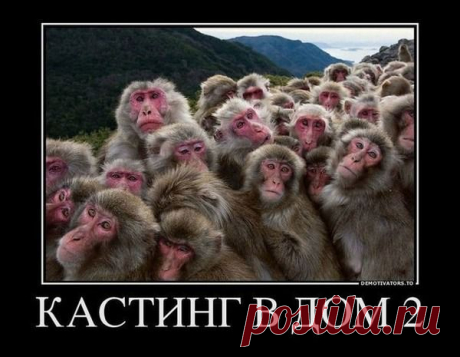 Мой Мир@Mail.Ru