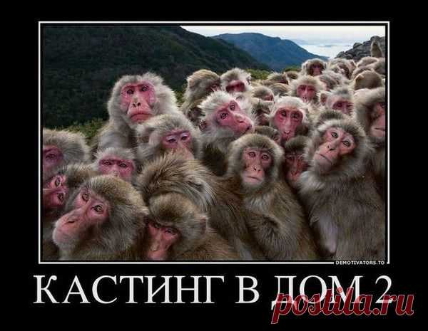 Мой Мир@Mail.Ru