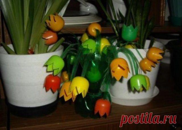 RAISA ABABII (Посторонок)
Молдова, Bologna
все её фото