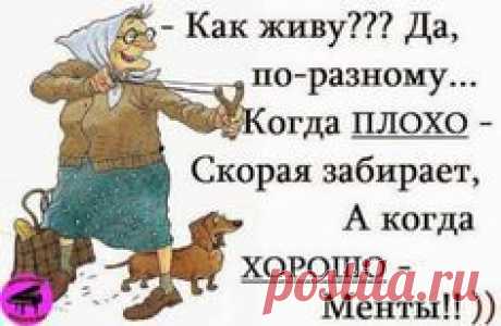(105) Pinterest