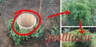 Tips Archives - Myeva for Healthcare, Skin care & Beauty