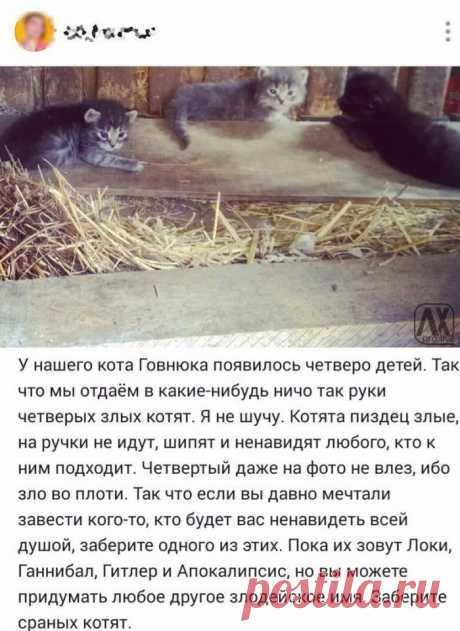 Диалоги