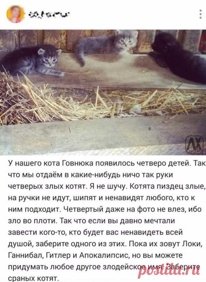 Диалоги