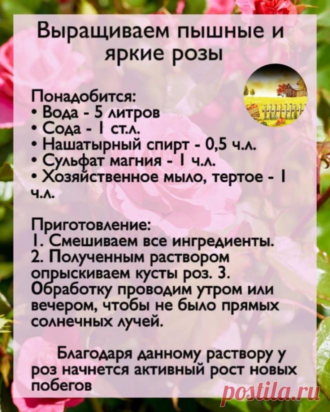 Пин на доске Сохраненные пины