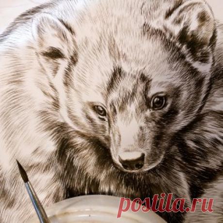 Деталь нового изделия рыбака в процессе (11″ x 14″) – подмалевок сепией. ©Ребекка Лэтэм | Картины дикой природы и природы Ребекки Лэтэм