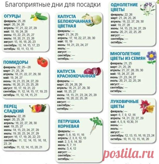 Очень полезна табличка! 
Благоприятные дни для посадки растений