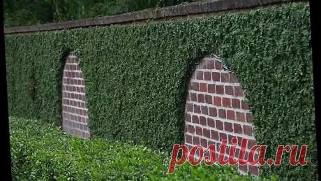 Красивые заборы для дч и частных домов