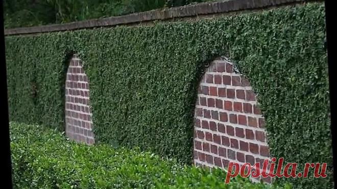 Красивые заборы для дч и частных домов