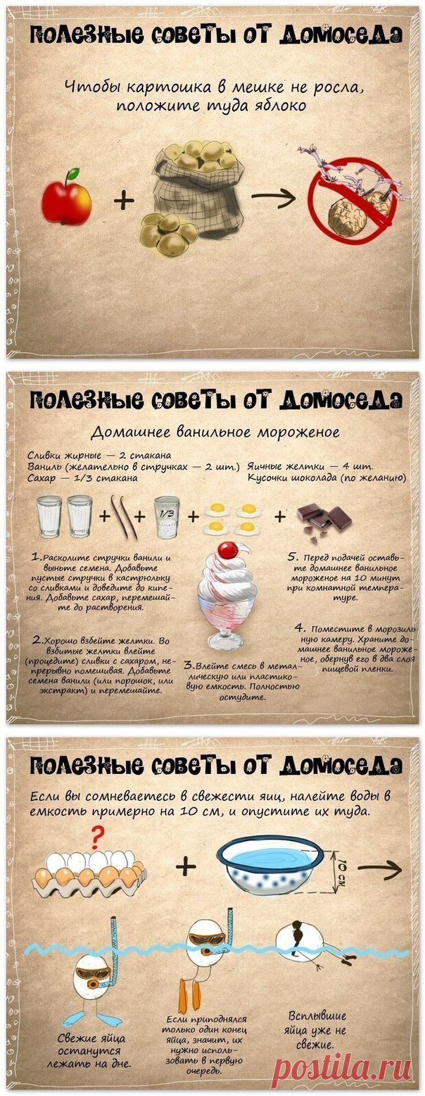 10 полезных советов