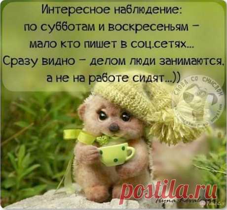 Интересные новости