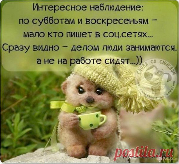Интересные новости