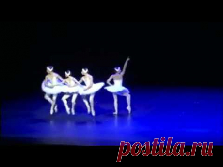 The Four Swans by Itzik Galili - Dortmund Ballet -