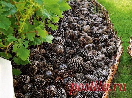 (+1) тема - Отличные бюджетные идеи для обустройства дачи своими руками | 6 соток