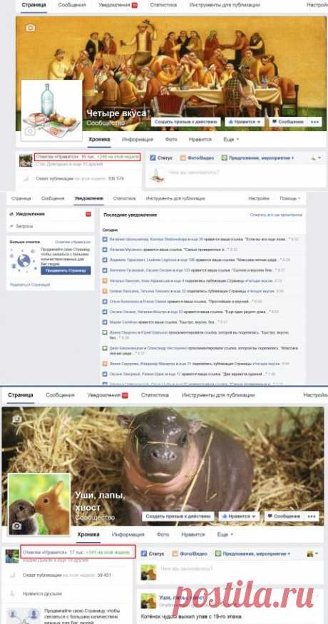 Продвижение своих сайтов на Facebook : первые итоги - как это работает
