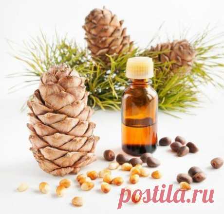 9 убийственных ароматов против комаров