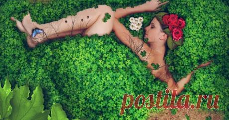 ЦЕЛЕБНЫЕ СИЛЫ МАТЕРИ-ПРИРОДЫ! 
Экопсихология - раздел экологии, который исследует связь между миром природы и миром людей, является непрерывно растущей отраслью науки, и некоторые исследования даже показывают, что некоторое времяп…