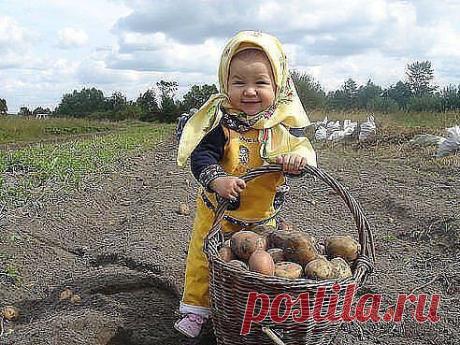 Подоила я козу !!!! Собрала картошку!!!! Ни кому я не скажу, что люблю Сережку!!!!