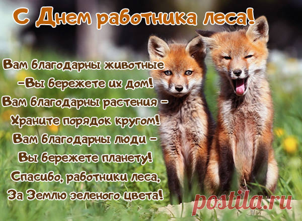 Поздравляем вас сегодня
И спасибо говорим,
Что храните лес могучий,
Что посвятили ему жизнь.