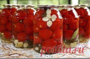 (3) Одноклассники