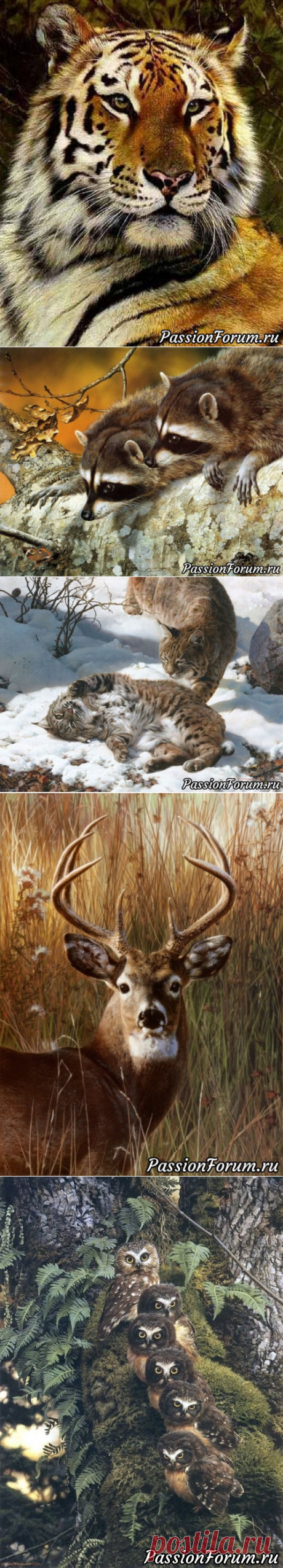 Знакомтесь художник-анималист Карл Брендерс.