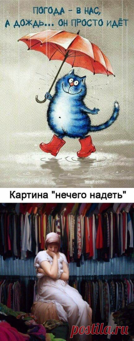 Елена Никитина