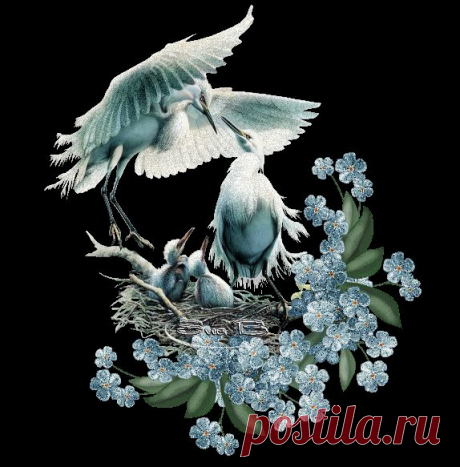 красивая анимация