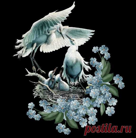 красивая анимация