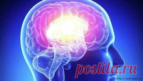 Как не утратить быстроту мышления в старости?